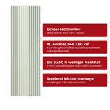 Akustikpaneel Premium Salbei – Filz Beige 244 × 60 cm