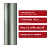 Akustikpaneel Premium Salbei – Filz Schwarz 244 × 60 cm